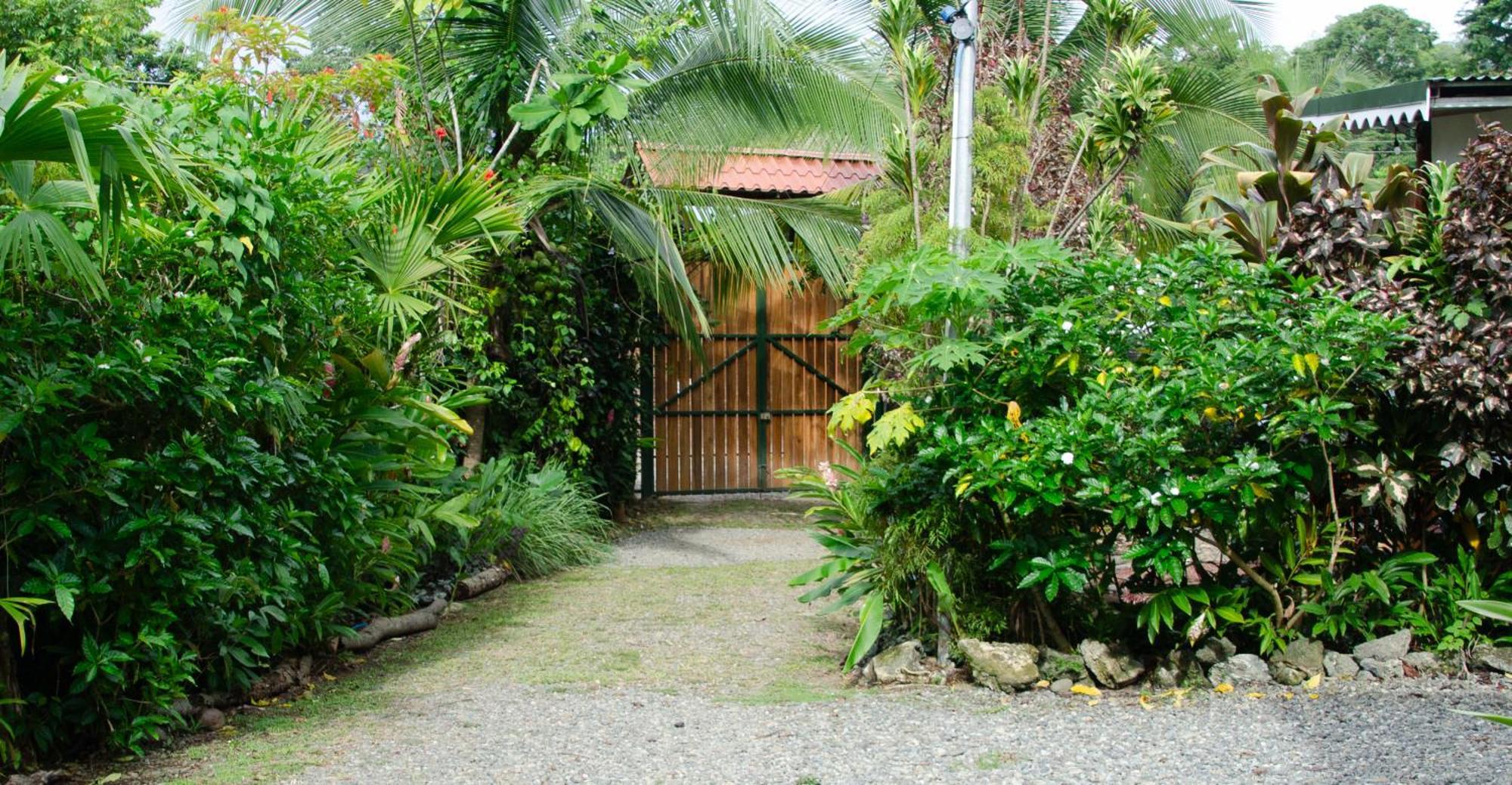 Colibri Ecolodge 3 Minutes Walk To Beach And Town Puerto Viejo de Talamanca Extérieur photo