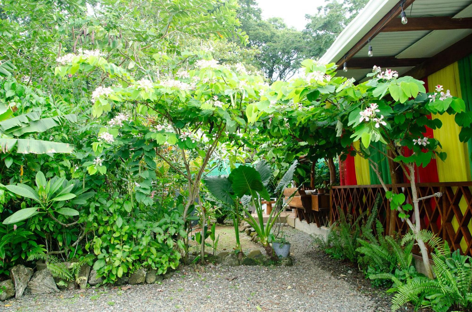 Colibri Ecolodge 3 Minutes Walk To Beach And Town Puerto Viejo de Talamanca Extérieur photo